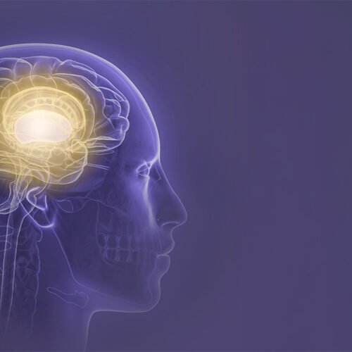 Neurology